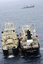 greenpeace_vessels_esperanza_and_arctic_sun