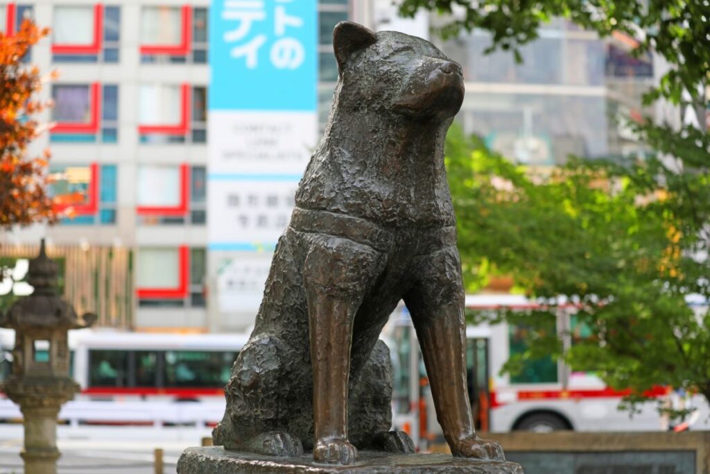 Hachiko Statue Shibuya