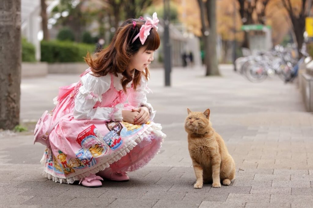 Harajuku Cosplay